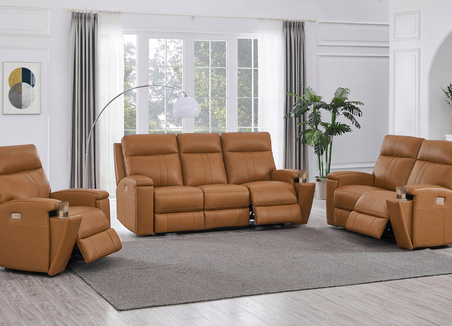 Frasier Top Grain Leather Power Reclining Collection
